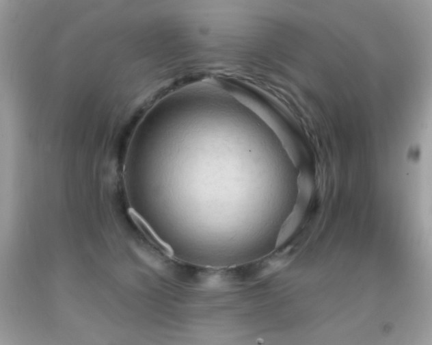 X0000091910564200709051421