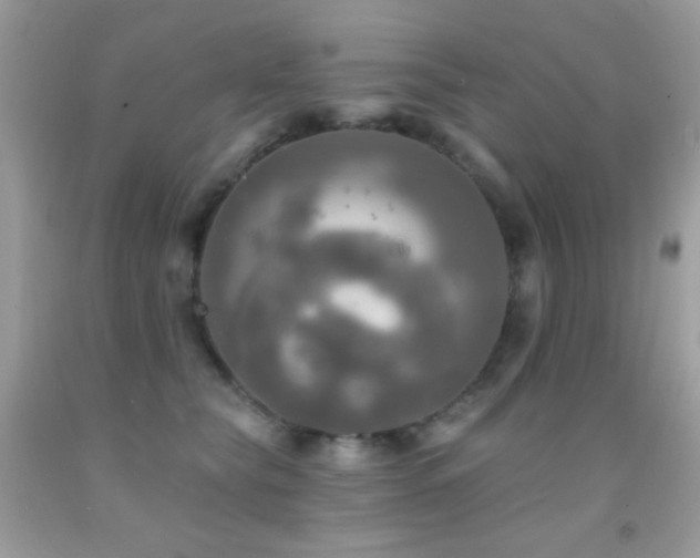 X0000091910565200709051421