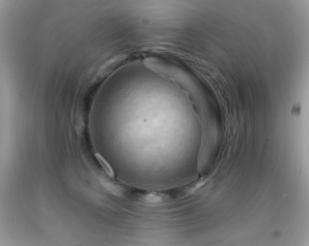 X0000091910566200709051421
