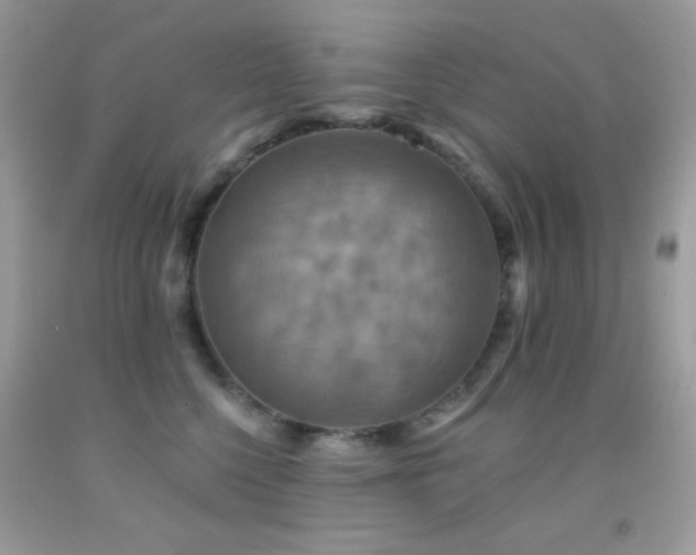 X0000091910568200709051421