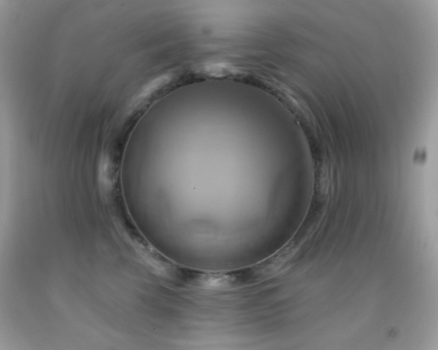 X0000091910569200709051421