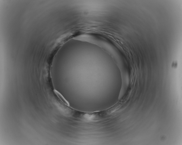 X0000091910570200709051421