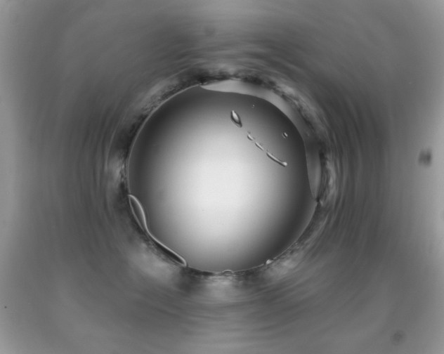X0000091910574200709051421