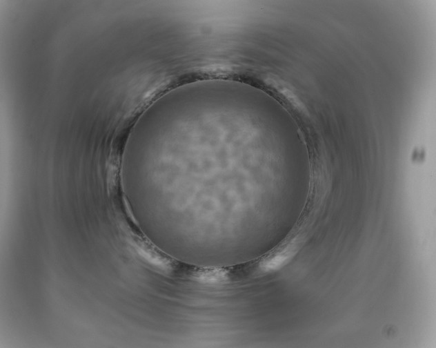 X0000091910576200709051421