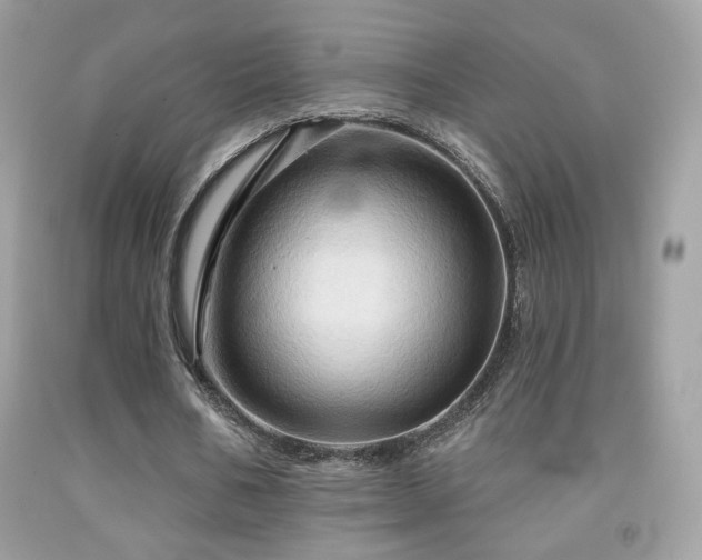 X0000091910578200709051420