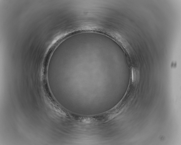 X0000091910579200709051420