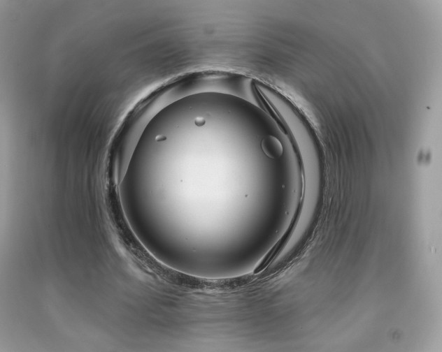 X0000091910580200709051420