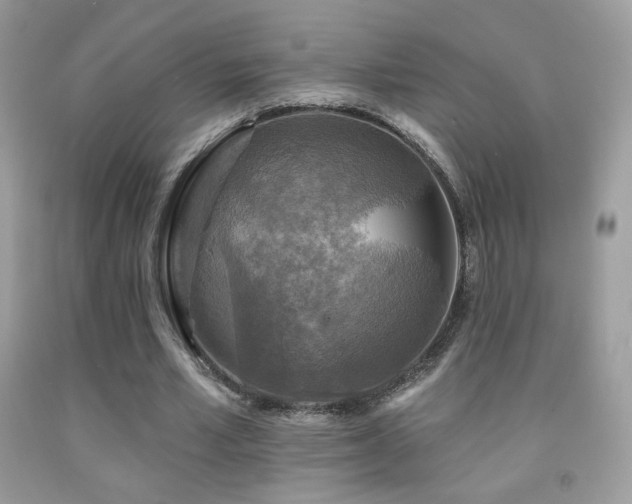 X0000091910581200709051420