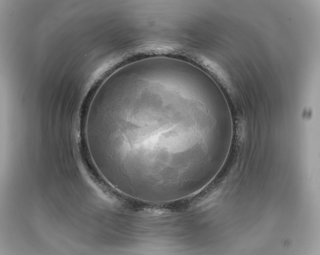 X0000091910582200709051420