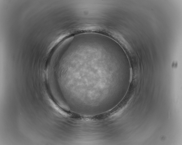 X0000091910585200709051420