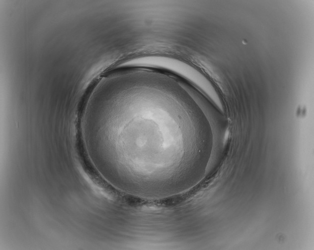 X0000091910586200709051420