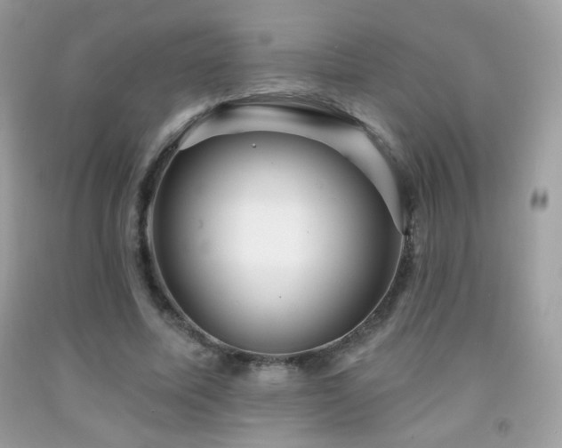 X0000091910587200709051420