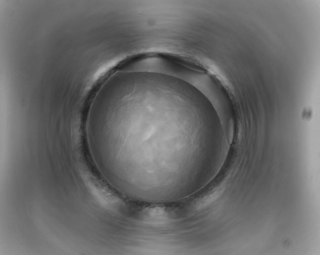 X0000091910588200709051420