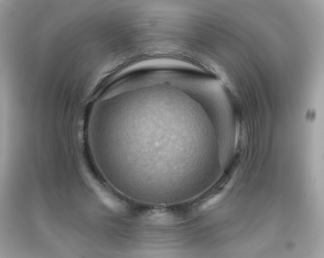 X0000091910589200709051420