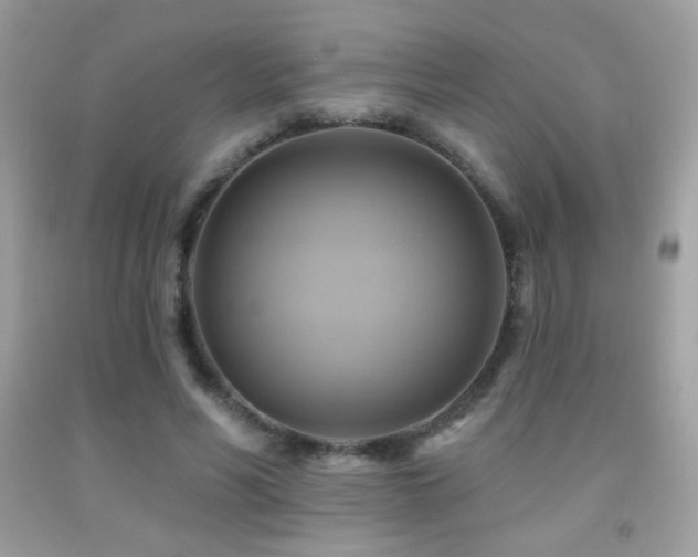 X0000091910590200709051420