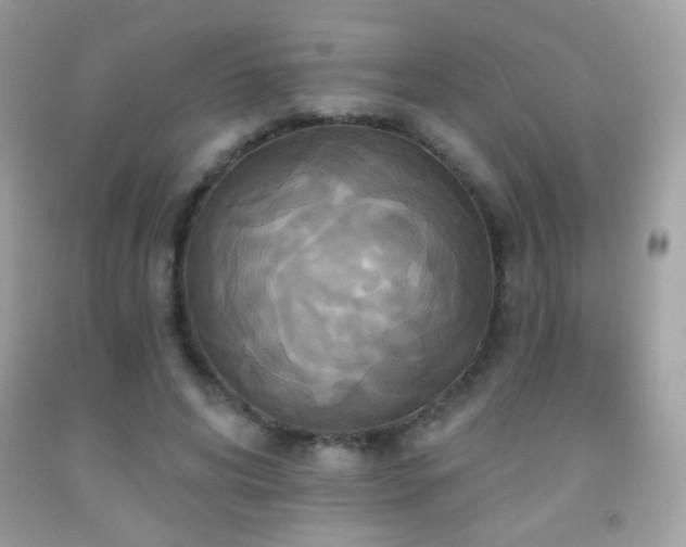 X0000091910592200709051420