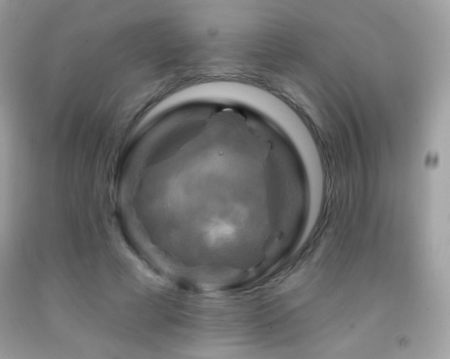 X0000091910593200709051420