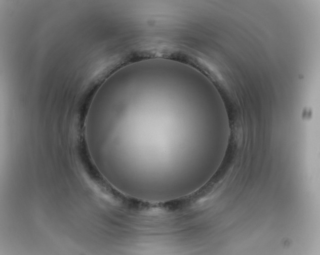 X0000091910594200709051420
