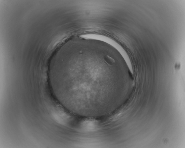 X0000091910595200709051420