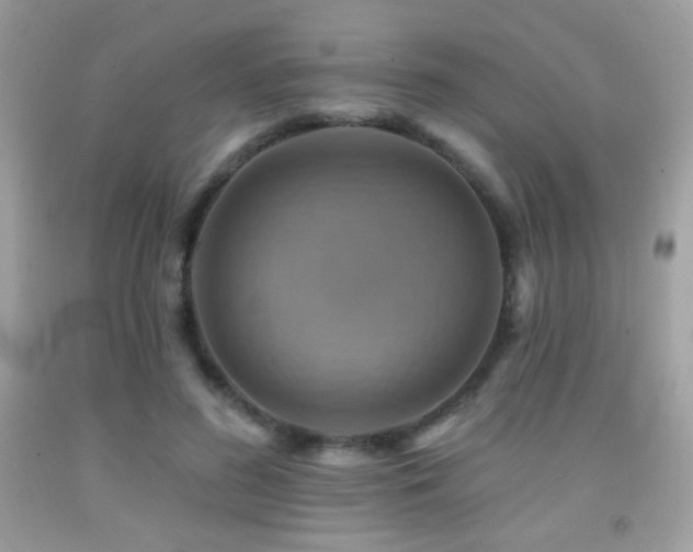 X0000091910596200709051420
