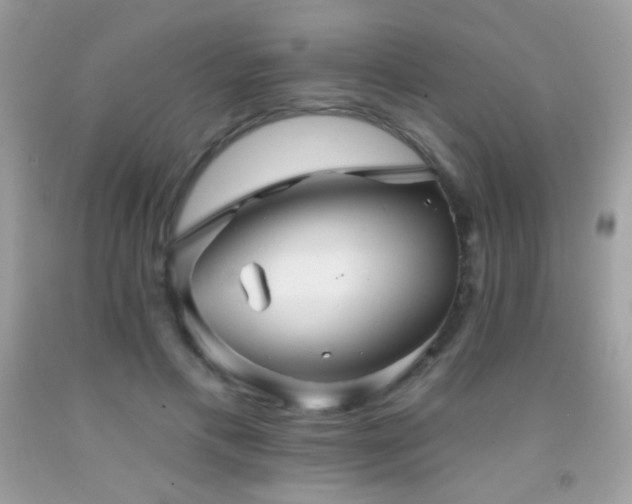 X0000091910597200709051420