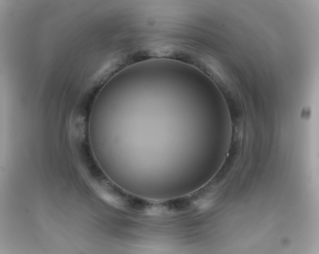 X0000091910598200709051420