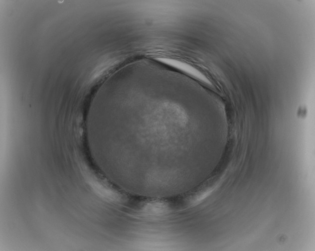 X0000091910599200709051420