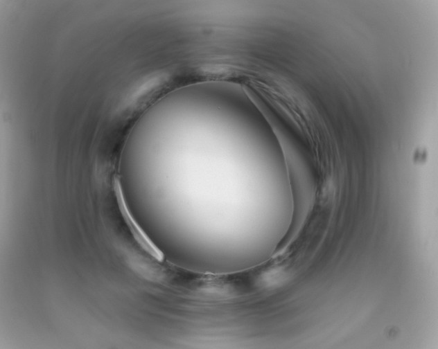 X0000091910601200709051420