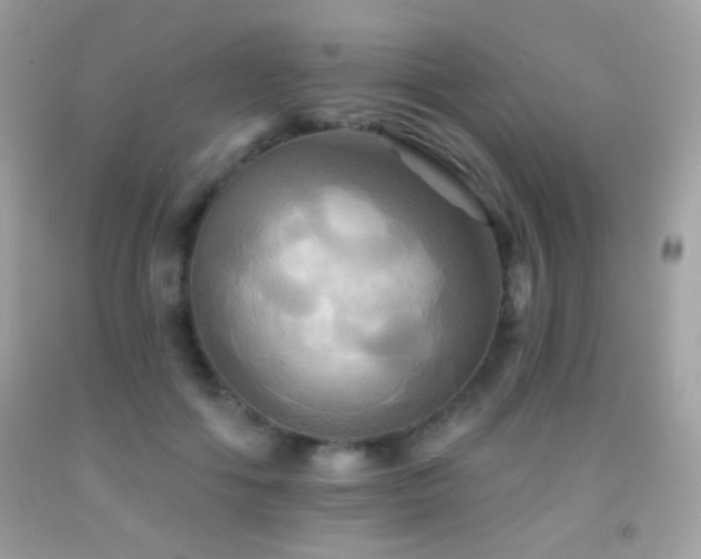 X0000091910602200709051420