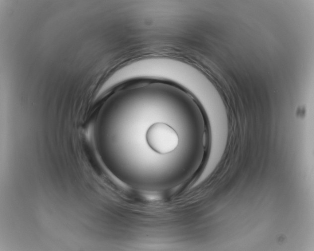 X0000091910604200709051420