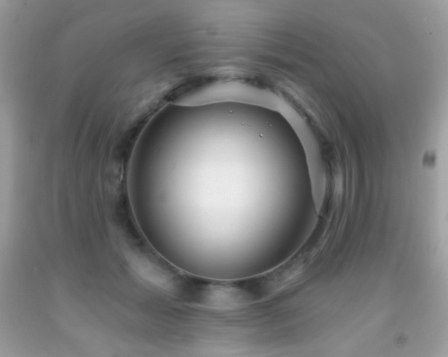 X0000091910605200709051420