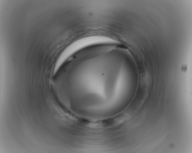 X0000091910606200709051420