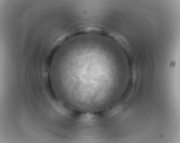 X0000091910607200709051420