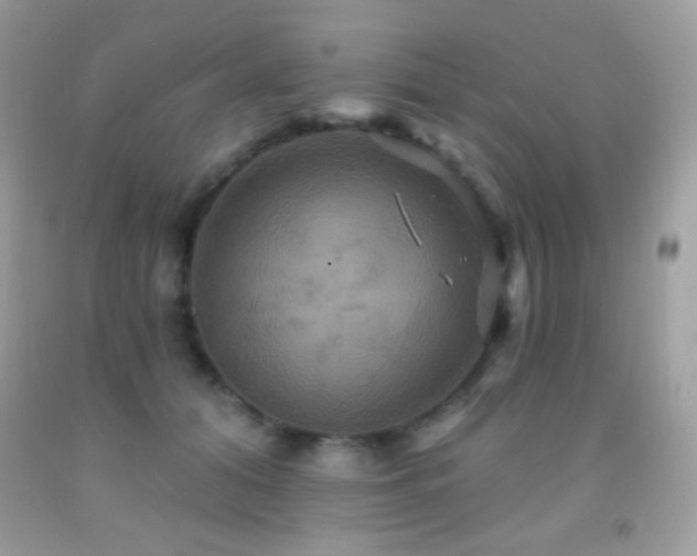 X0000091910608200709051420