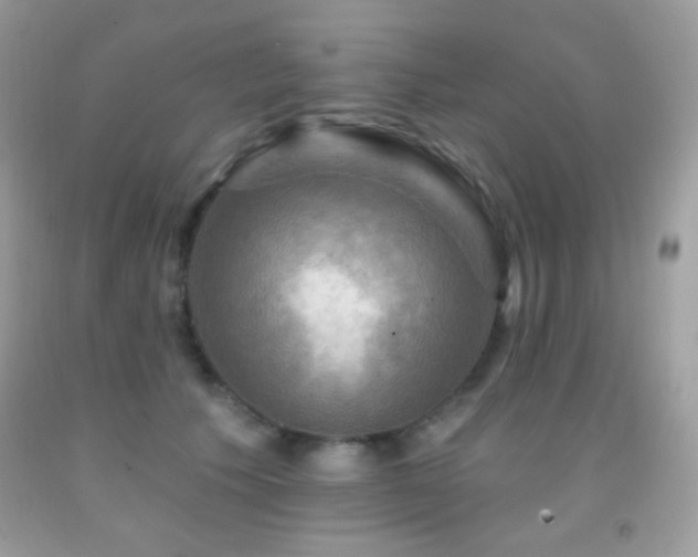 X0000091910609200709051420