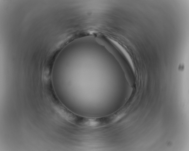X0000091910610200709051420