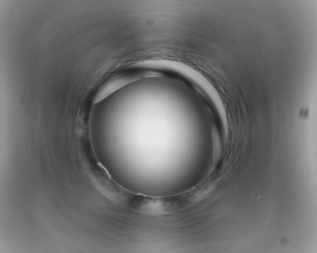 X0000091910611200709051420