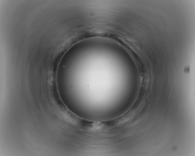 X0000091910612200709051420