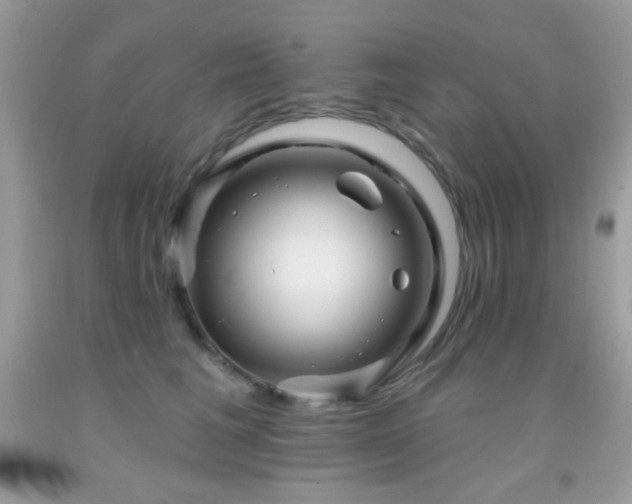 X0000091910613200709051420