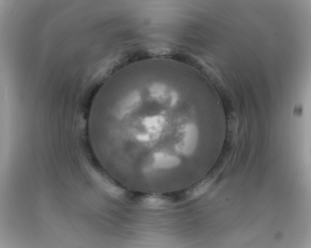 X0000091910614200709051420
