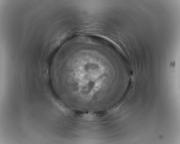 X0000091910615200709051420