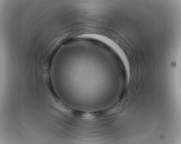 X0000091910616200709051420