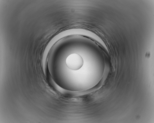 X0000091910617200709051420