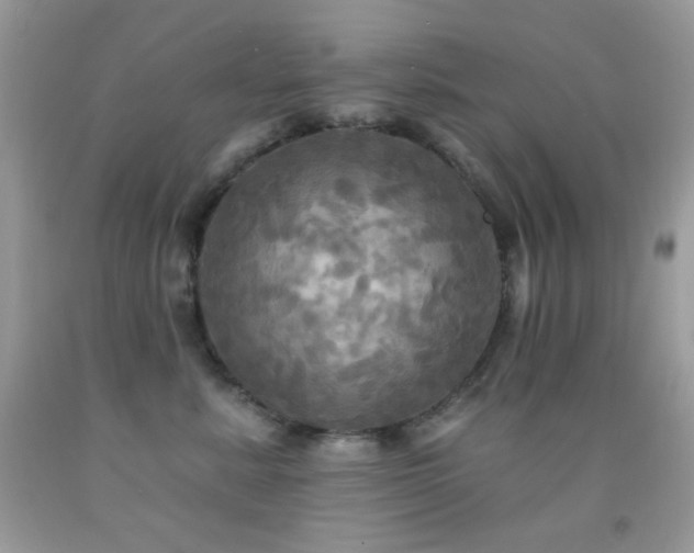 X0000091910619200709051420