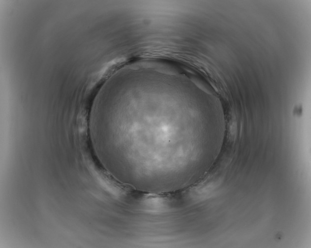 X0000091910620200709051420
