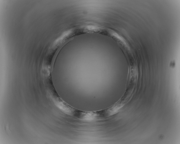 X0000091910621200709051420