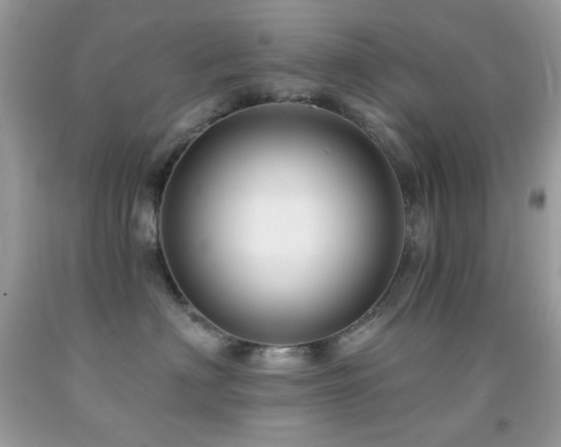 X0000091910622200709051420