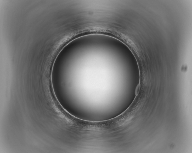 X0000091910625200709051419