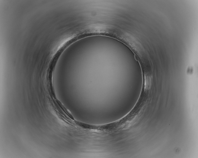 X0000091910627200709051419
