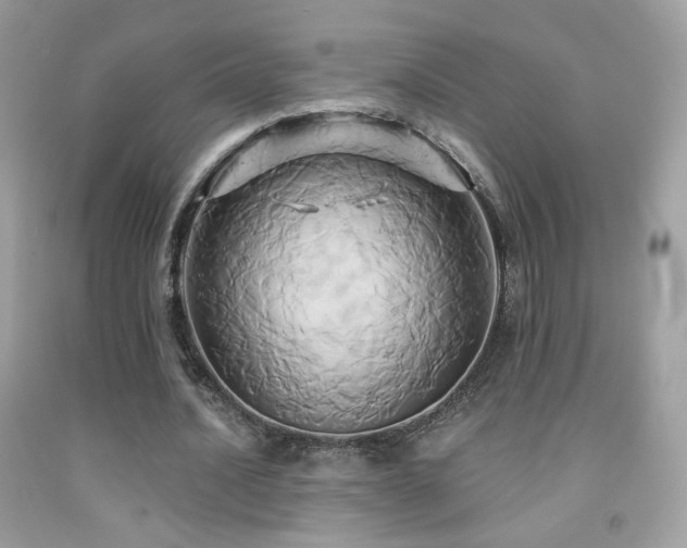 X0000091910628200709051419